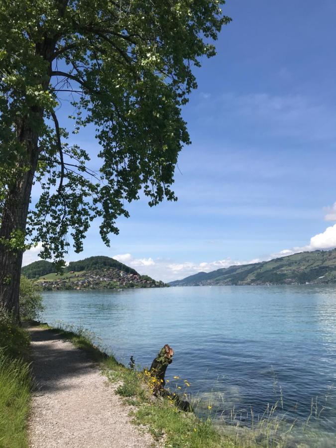 Апартаменты Moderne Unterkunft Mit Panoramablick Auf Thunersee Krattigen Экстерьер фото